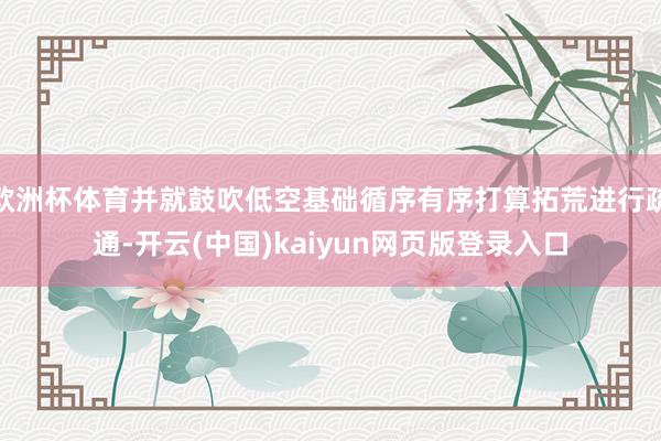 欧洲杯体育并就鼓吹低空基础循序有序打算拓荒进行疏通-开云(中国)kaiyun网页版登录入口