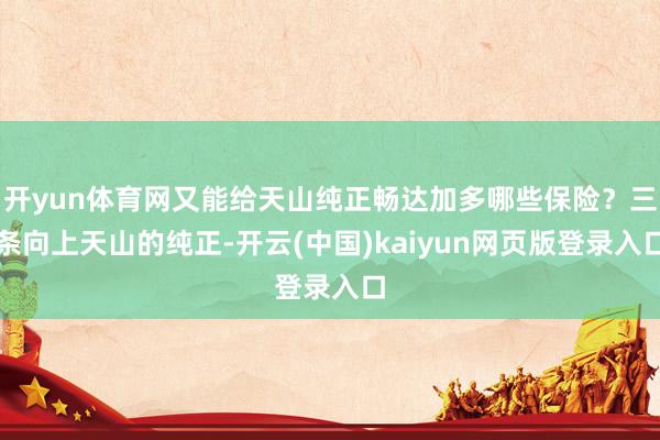 开yun体育网又能给天山纯正畅达加多哪些保险？三条向上天山的纯正-开云(中国)kaiyun网页版登录入口