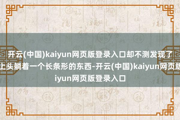 开云(中国)kaiyun网页版登录入口却不测发现了一个岩石上头躺着一个长条形的东西-开云(中国)kaiyun网页版登录入口