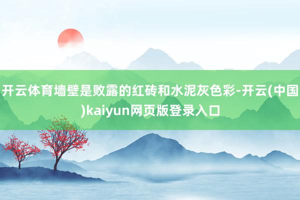 开云体育墙壁是败露的红砖和水泥灰色彩-开云(中国)kaiyun网页版登录入口